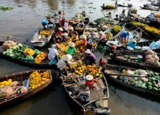 DISCOVERY CAIBE - TANPHONG 